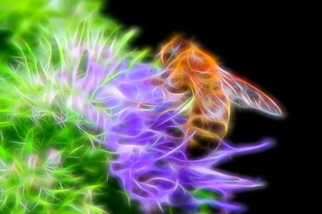 Scopri di più sull'articolo I FIORI INVISIBILI ALLE API